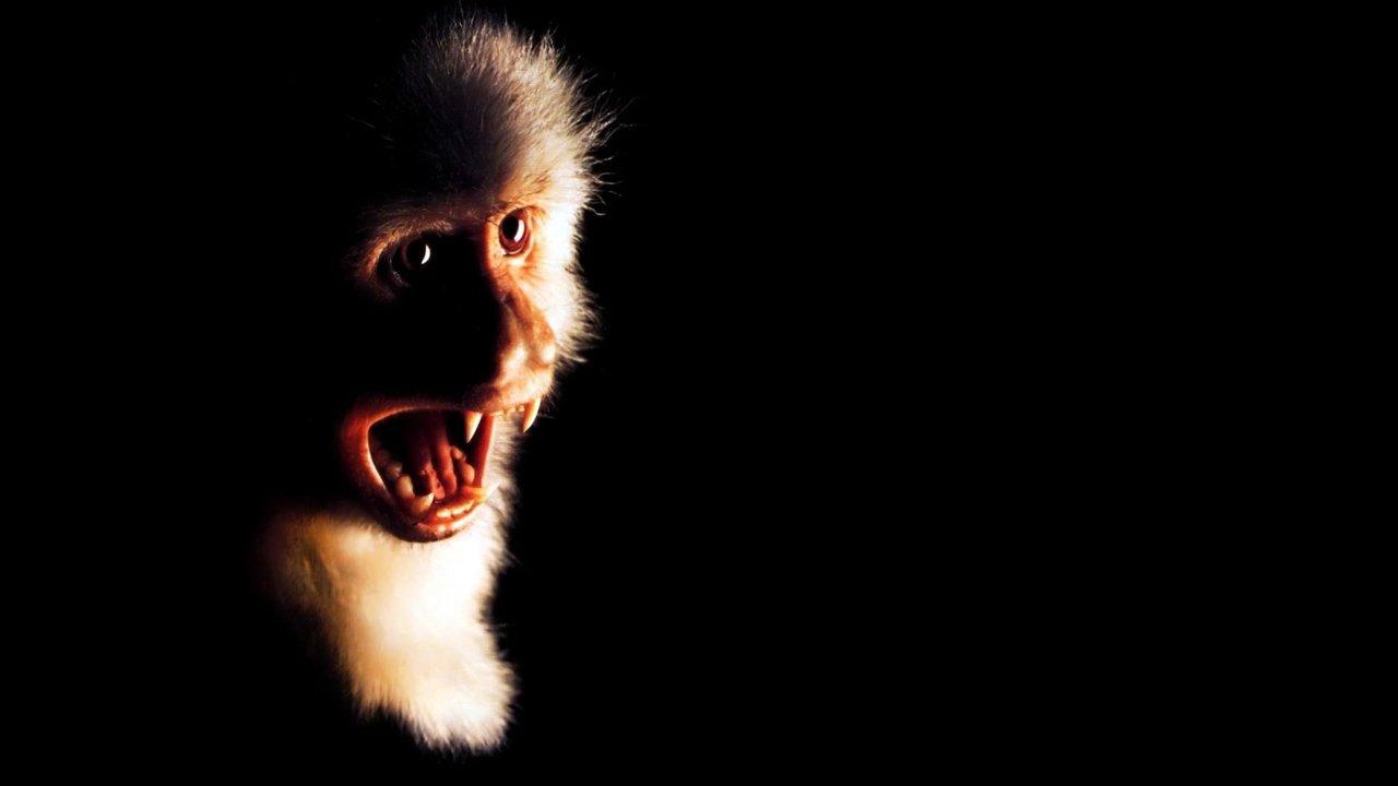 Outbreak - Lautlose Killer